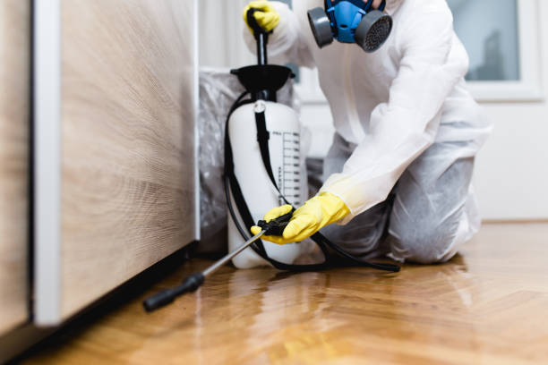 Best Best Pest Control Companies  in Arthur, IL