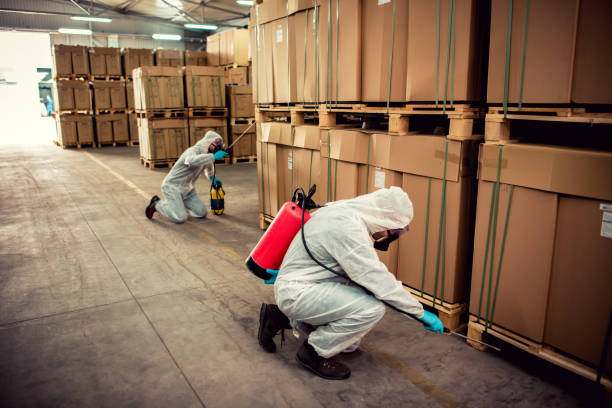 Best Emergency Pest Control  in Arthur, IL