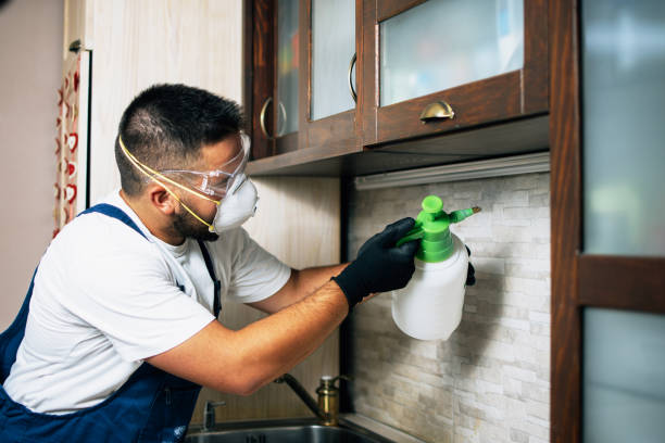 Best Wildlife Control Services  in Arthur, IL