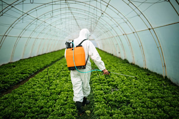 Best Mosquito Control Services  in Arthur, IL