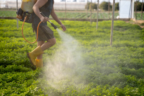 Best Pest Control for Businesses  in Arthur, IL