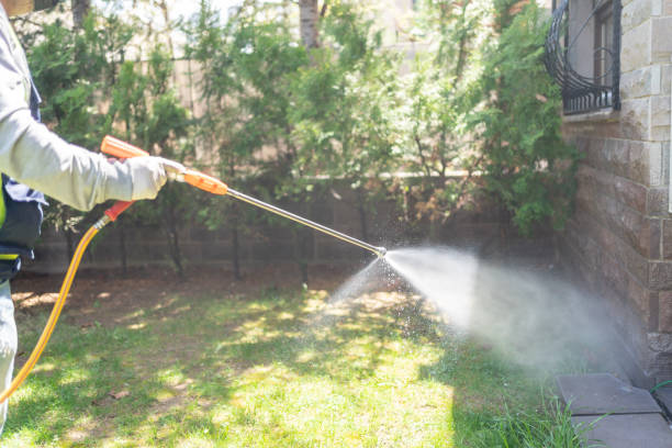 Best Pest Removal Services  in Arthur, IL