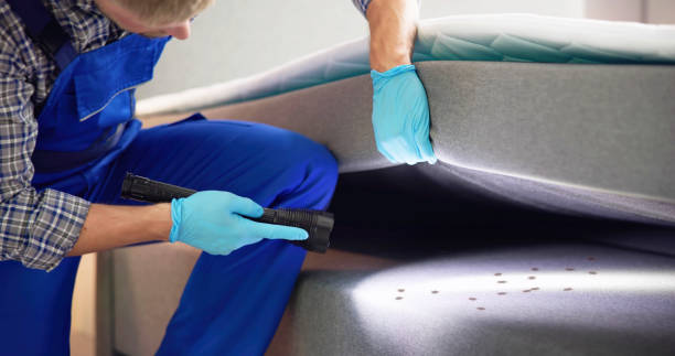 Best Rat Extermination Near Me  in Arthur, IL
