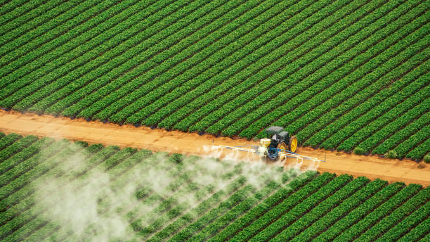 Reliable Arthur, IL Pest Control Solutions