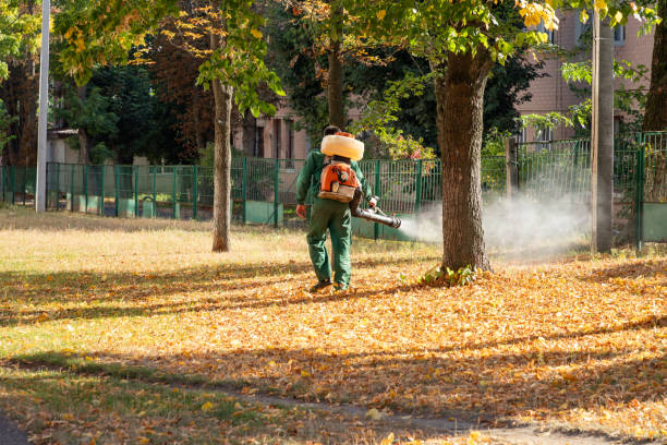 Best Pest Prevention Services  in Arthur, IL